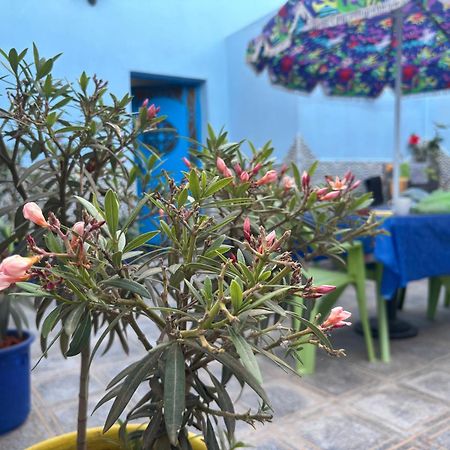 Casa Morisca Villa Sidi Ifni Ngoại thất bức ảnh