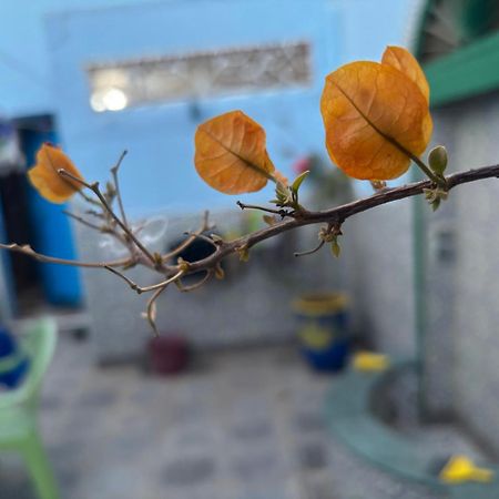 Casa Morisca Villa Sidi Ifni Ngoại thất bức ảnh