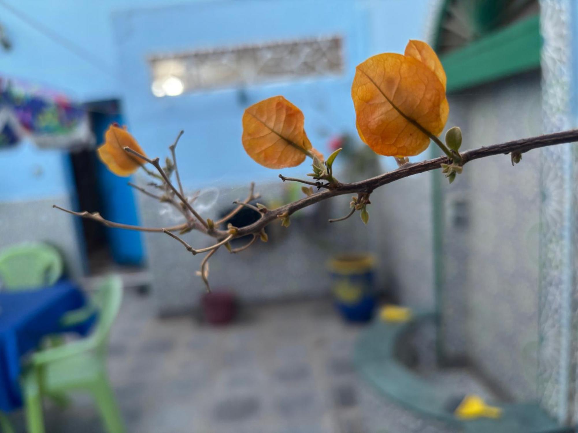 Casa Morisca Villa Sidi Ifni Ngoại thất bức ảnh